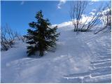 Bohinjska Bistrica - Krevl